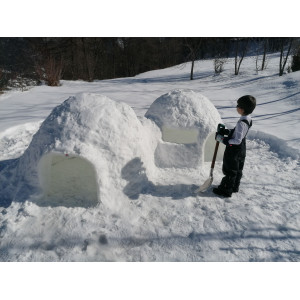 Igloo Tinygloo